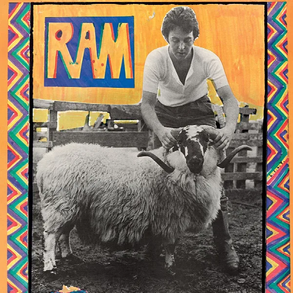 Pochette de RAM