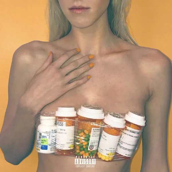 Pochette de digital druglord