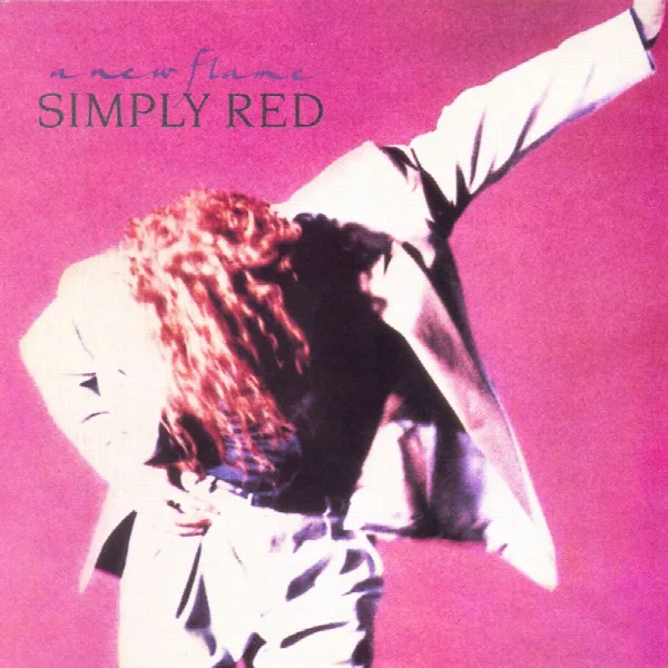 Pochette de A New Flame (Expanded Version)