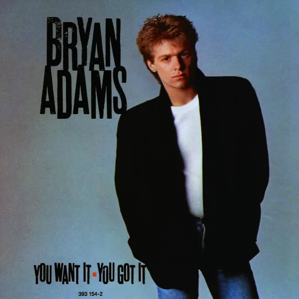 Pochette de You Want It You Got It