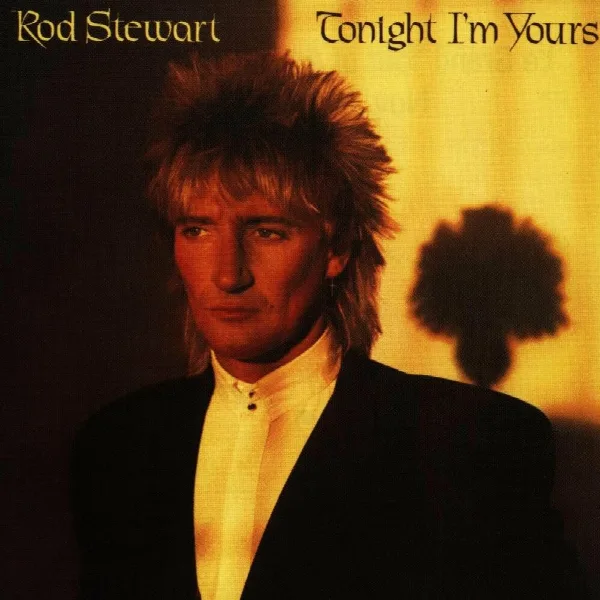 Pochette de Tonight I'm Yours