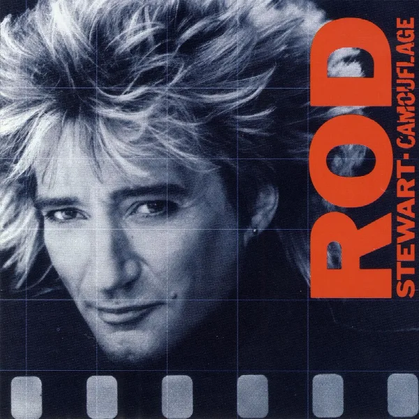 Pochette de Camouflage