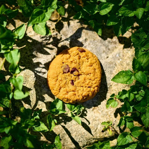 Pochette de Cookie Clicker