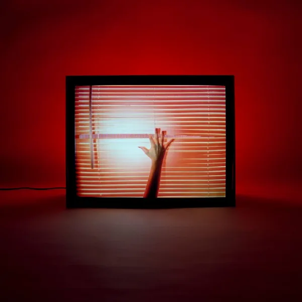 Pochette de Screen Violence