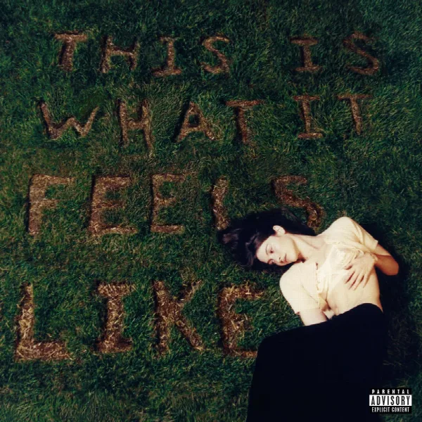 Pochette de This Is What It Feels Like