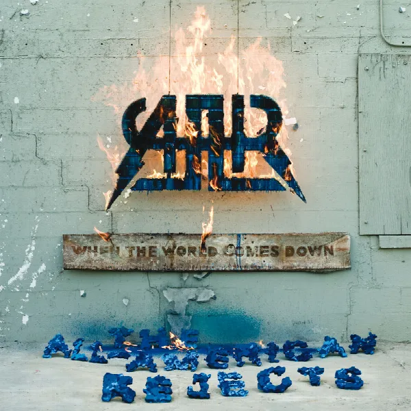 Pochette de When The World Comes Down