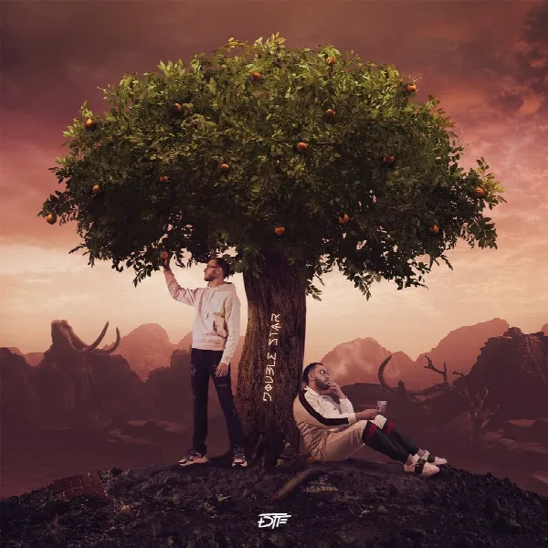 Pochette de Double Star