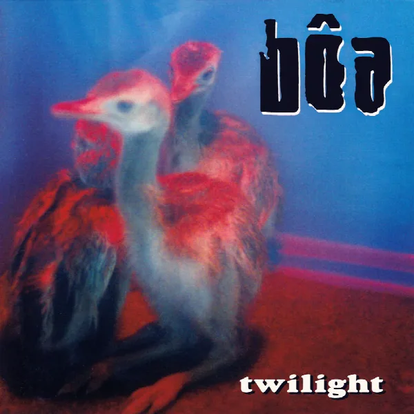 Pochette de Twilight