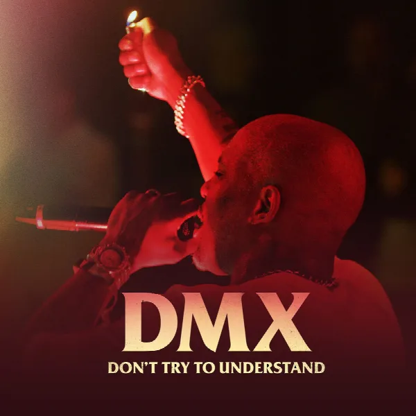 Pochette de DMX: Don't Try to Understand