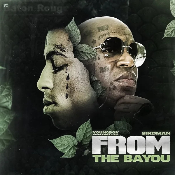 Pochette de From The Bayou