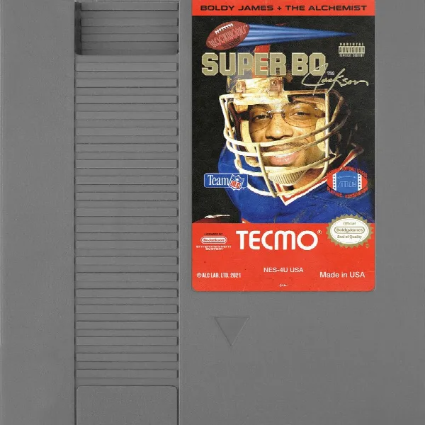 Pochette de Super Tecmo Bo