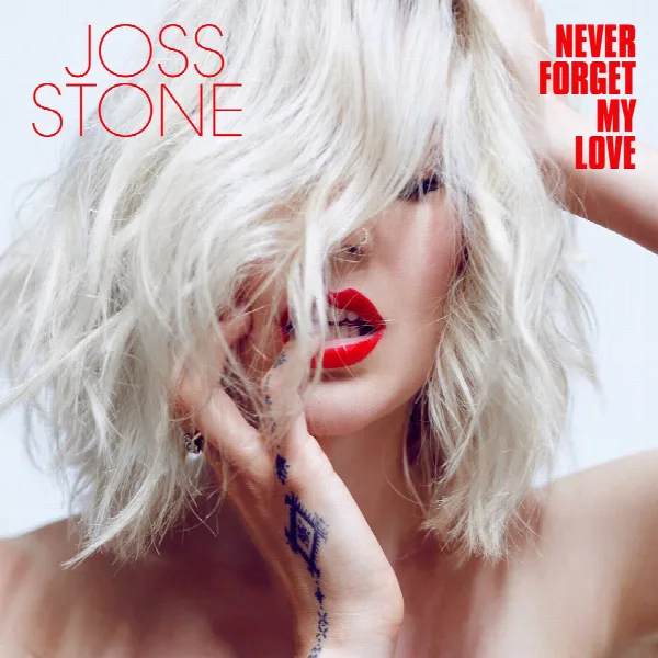 Pochette de Never Forget My Love