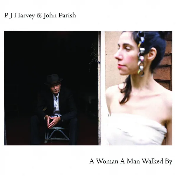 Pochette de A Woman A Man Walked By
