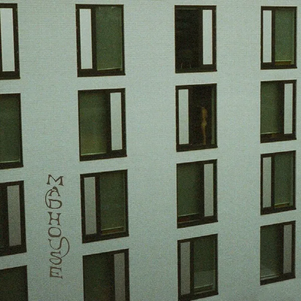 Pochette de madhouse