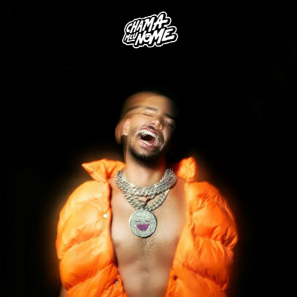 Pochette de CHAMA MEU NOME