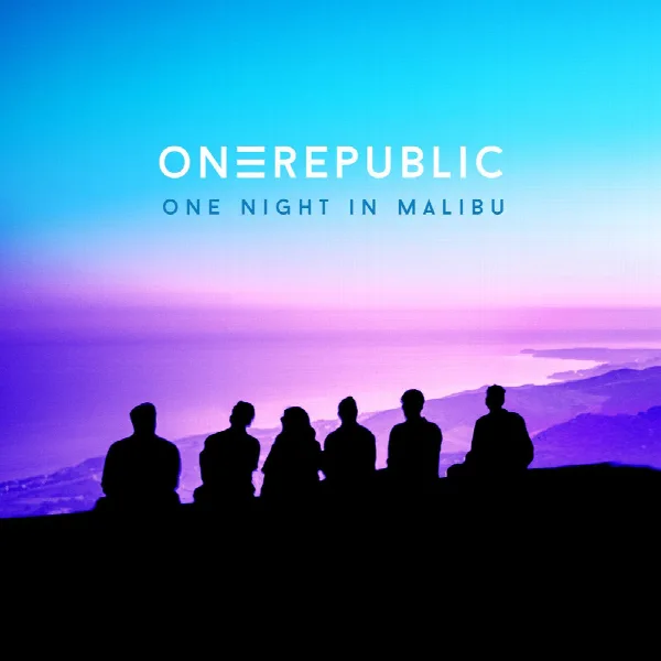 Pochette de One Night In Malibu