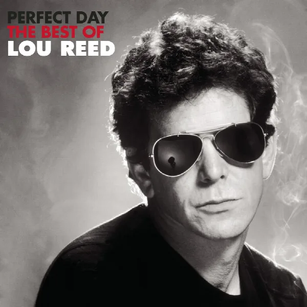 Pochette de Perfect Day