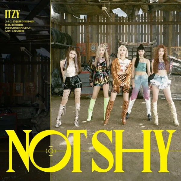 Pochette de Not Shy (English Ver.)