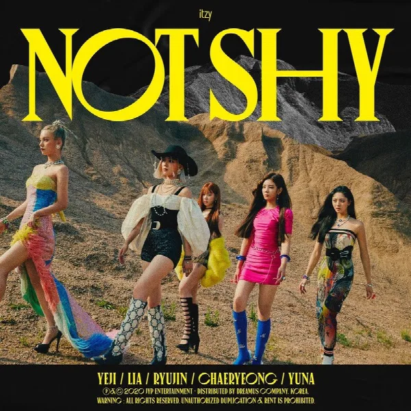 Pochette de Not Shy