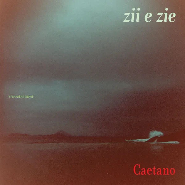 Pochette de Zii & Zie