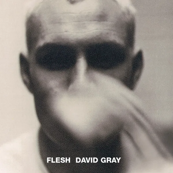 Pochette de Flesh