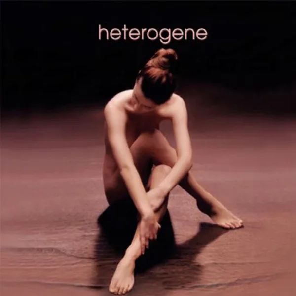 Pochette de Heterogene
