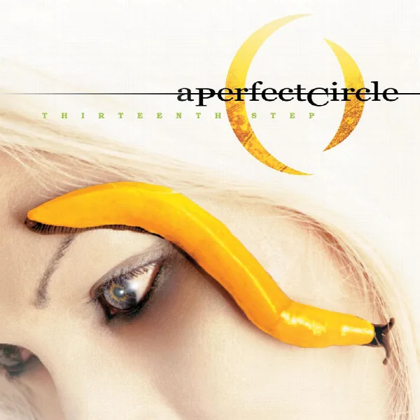 Pochette de Thirteenth Step