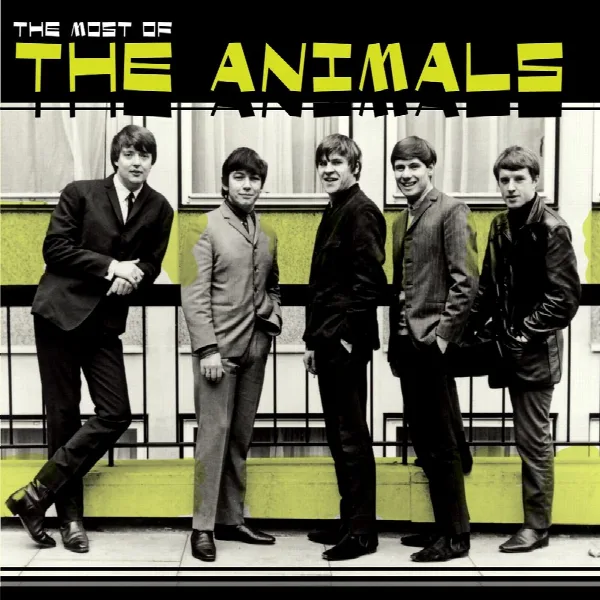 Pochette de Most of the Animals