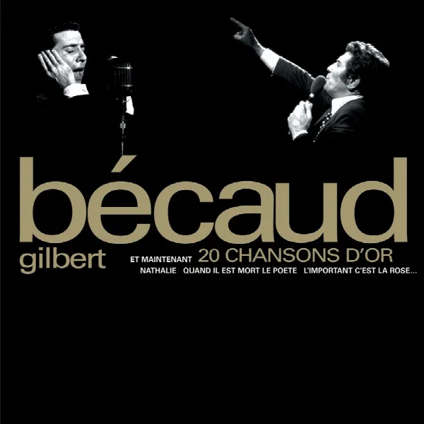 Pochette de 20 chansons d'or