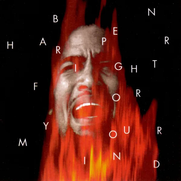 Pochette de Fight For Your Mind