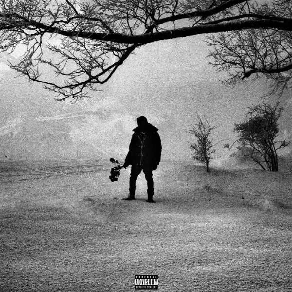 Pochette de M.A.N (Black Roses & Lost Feelings)