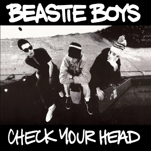 Pochette de Check Your Head (Deluxe Edition/Remastered/2009)