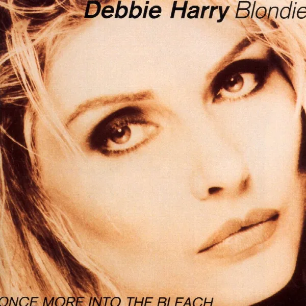 Pochette de Once More Into The Bleach