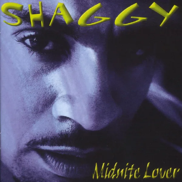 Pochette de Midnite Lover