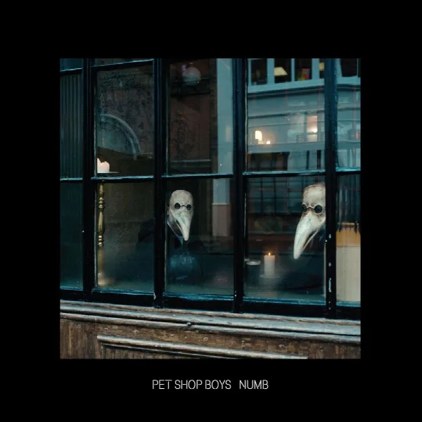 Pochette de Numb