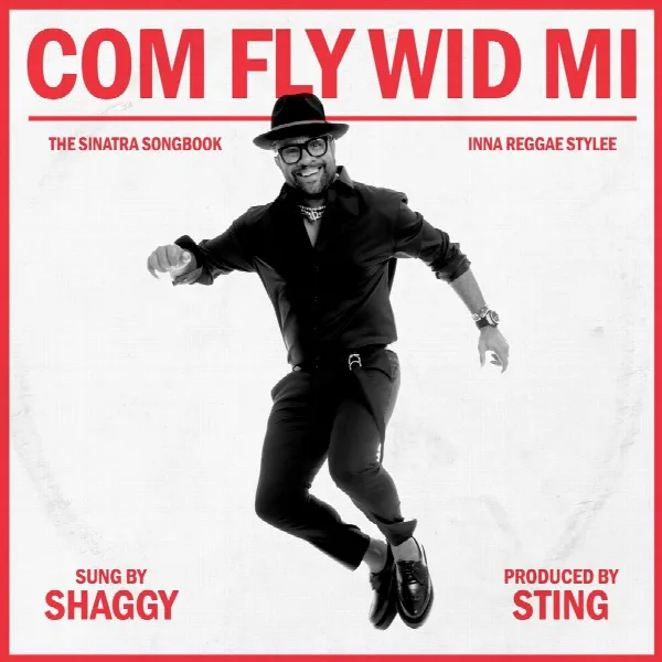 Pochette de Com Fly Wid Mi