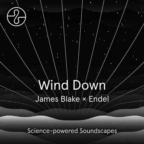 Pochette de Wind Down