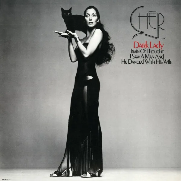 Pochette de Dark Lady