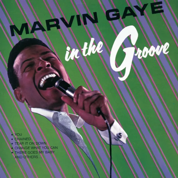 Pochette de In The Groove