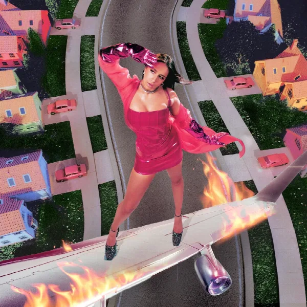 Pochette de i used to think i could fly