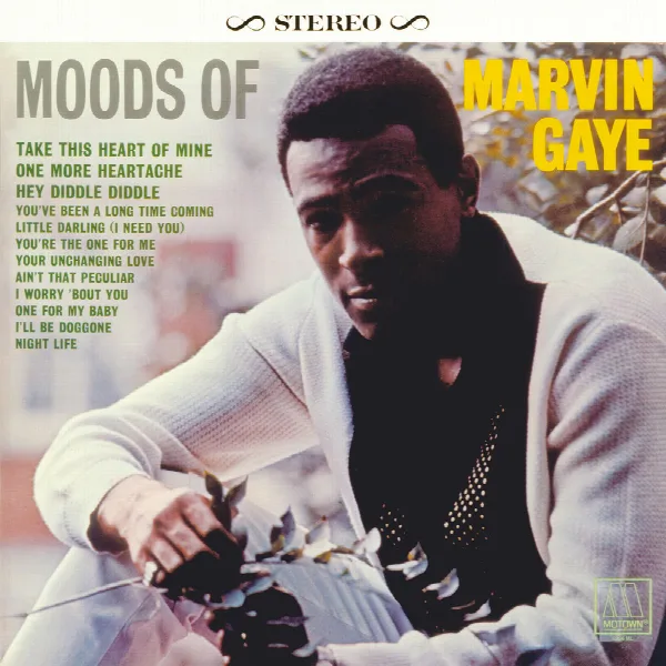 Pochette de Moods Of Marvin Gaye