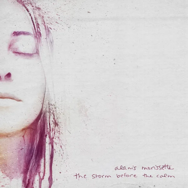 Pochette de the storm before the calm