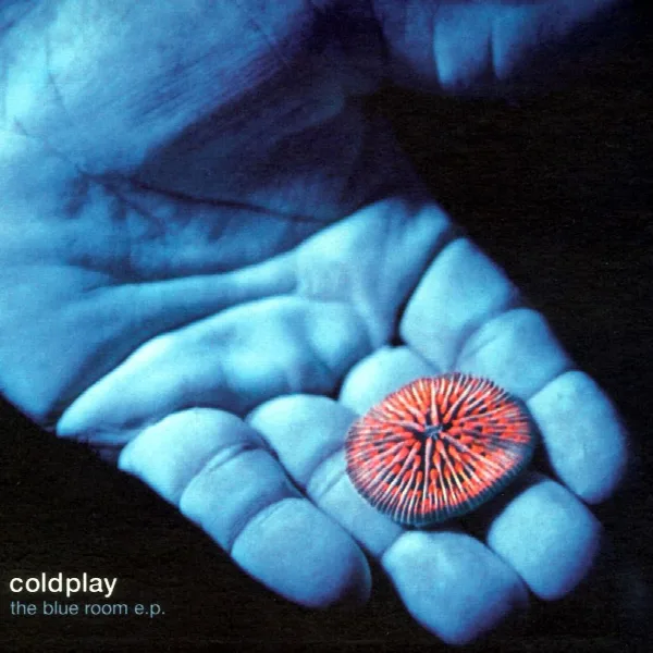 Pochette de The Blue Room