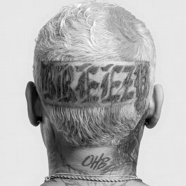 Pochette de Breezy