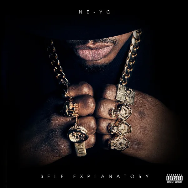 Pochette de Self Explanatory