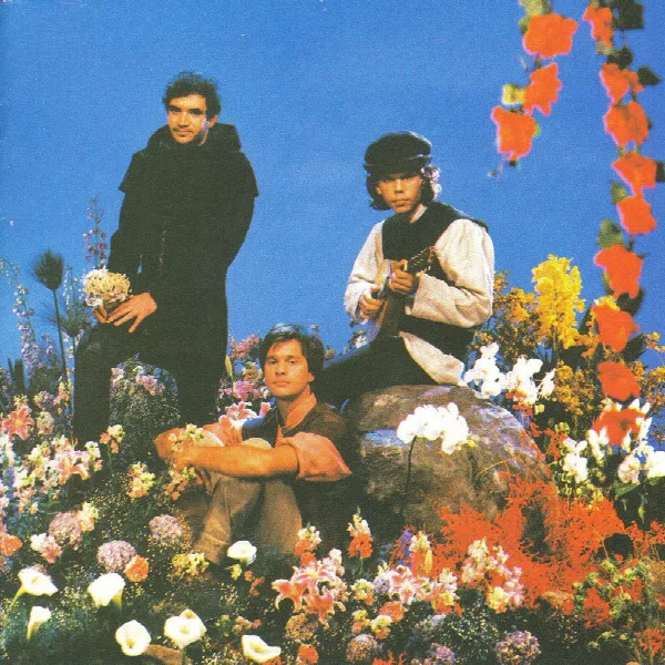 Pochette de O Descobrimento Do Brasil