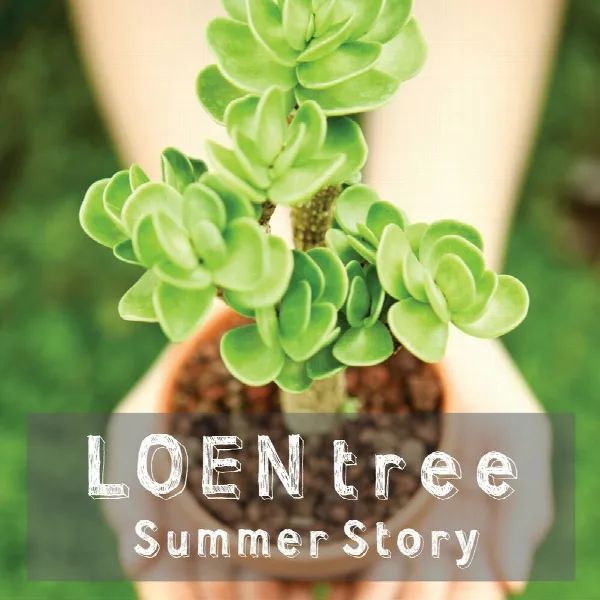 Pochette de LOEN TREE Summer Story