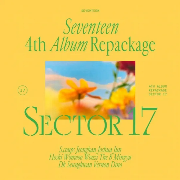 Pochette de SECTOR 17
