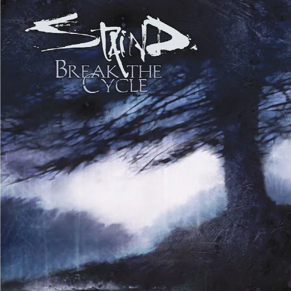 Pochette de Break the Cycle