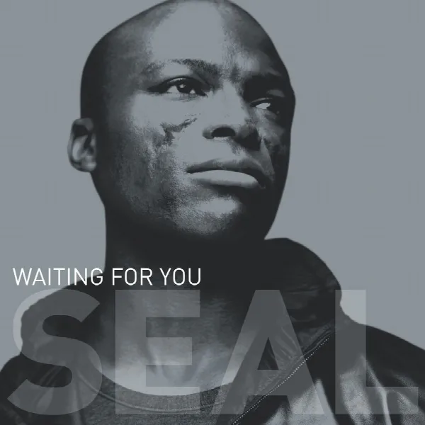 Pochette de Waiting for You